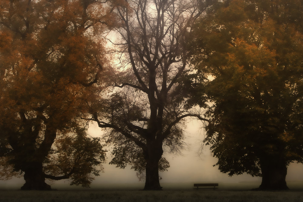 Platz 9 Daniela Korn